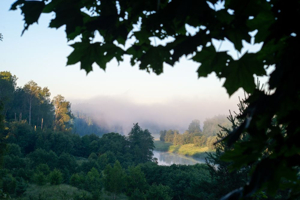 Photograph by Раиса Иванова