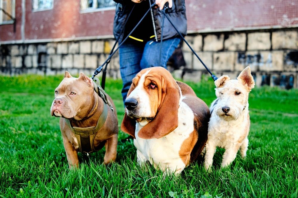 Photograph by Евгений Ласьков