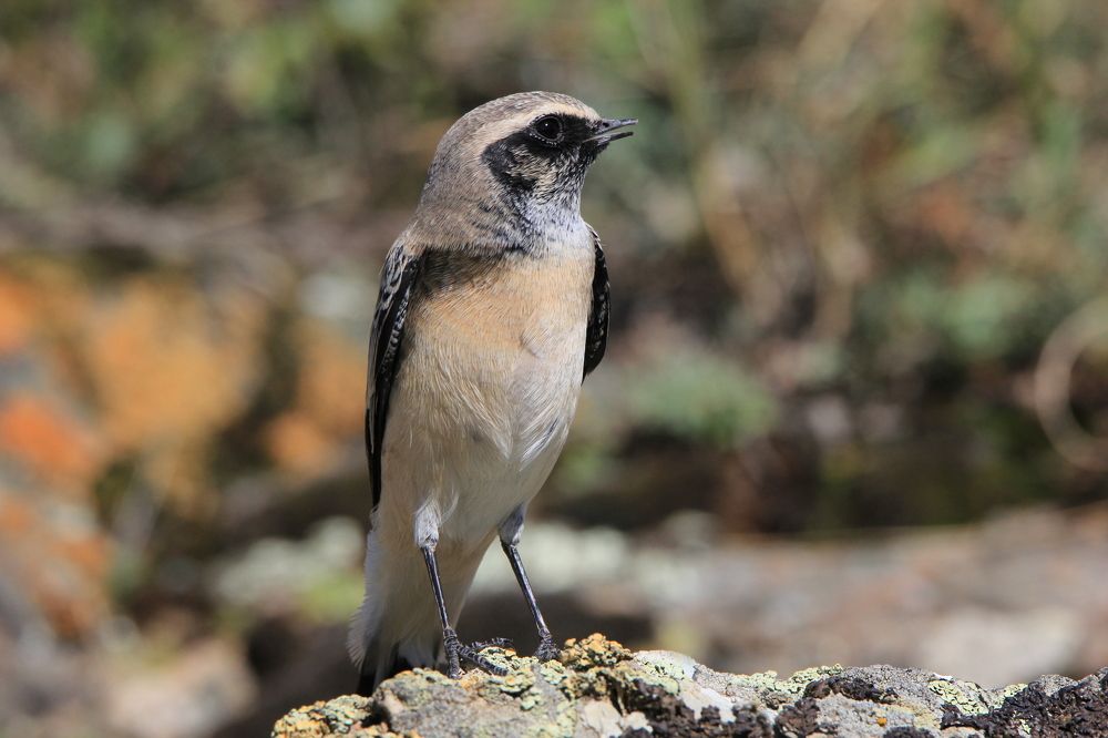 Photograph by Андрей Головин