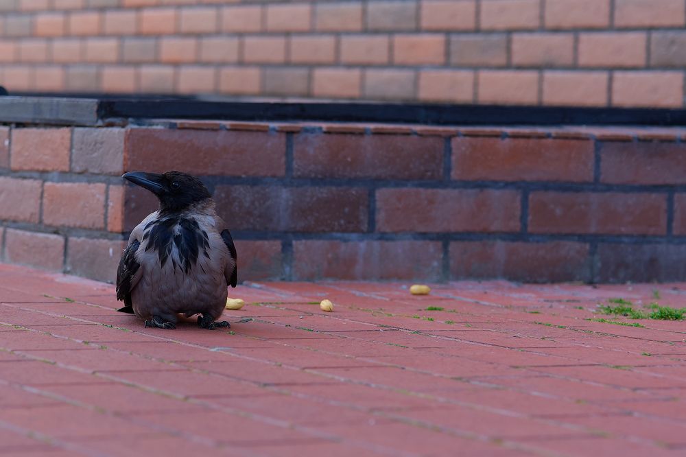 Photograph by Вячеслав Кирьянов