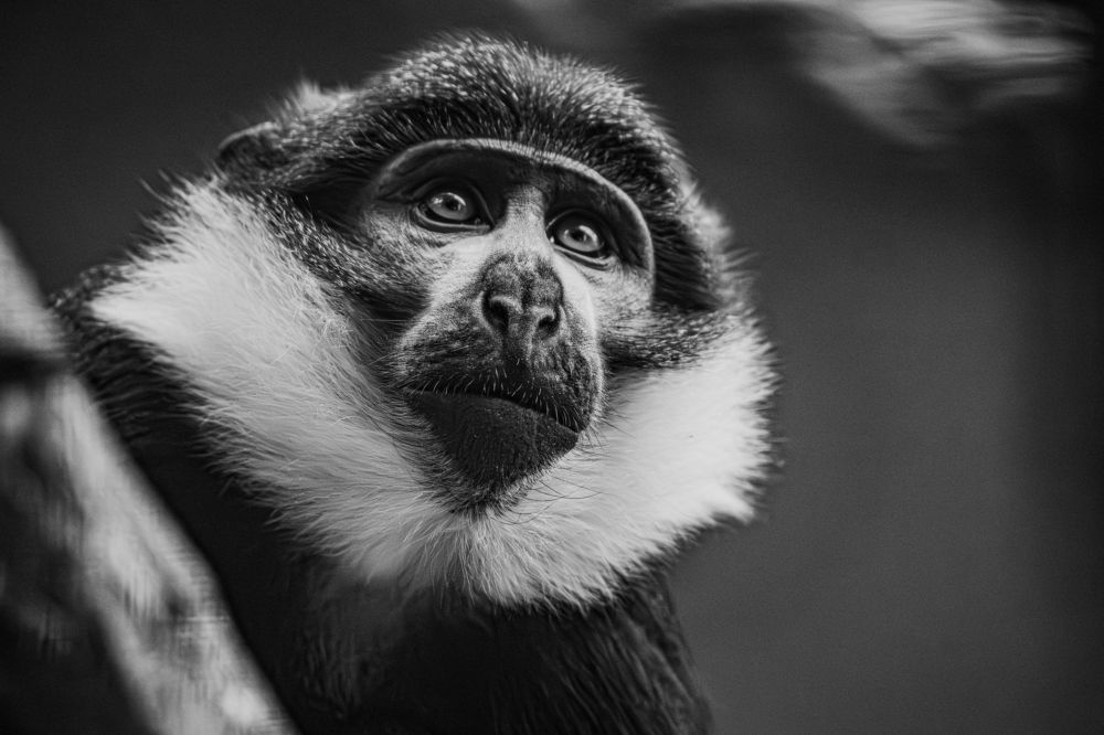 Photograph by Raman Danilchyk