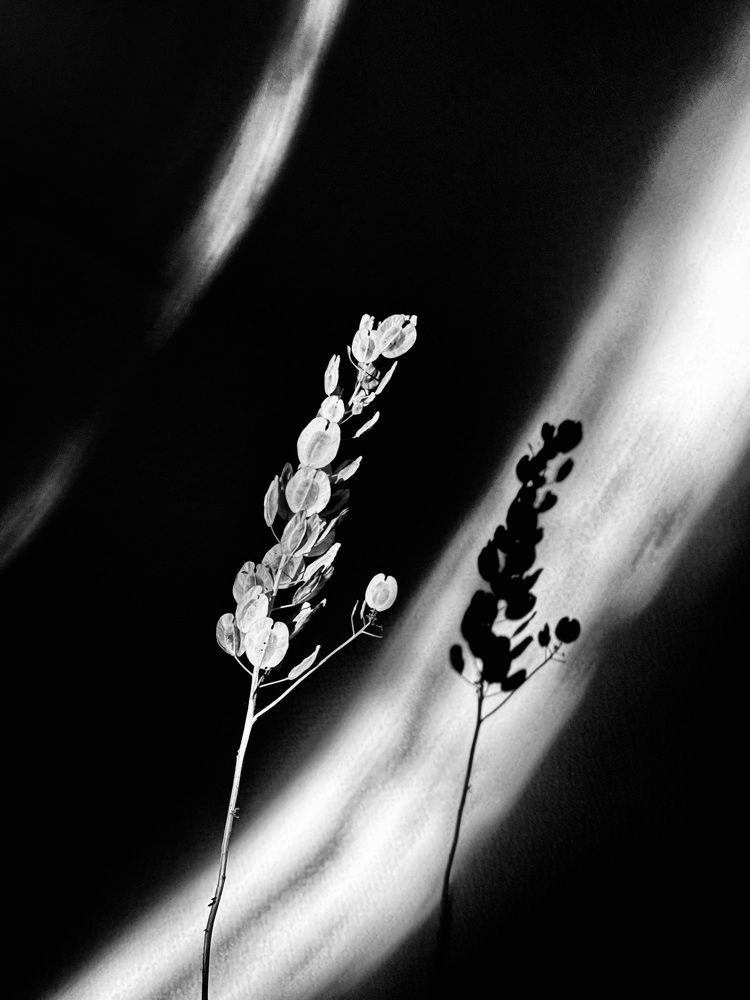 Фотография автора ГУЗАЛИЯ ГАНИЕВА