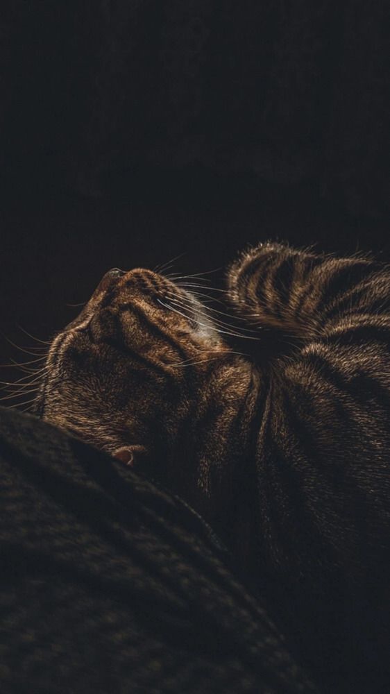 Photograph by skidish