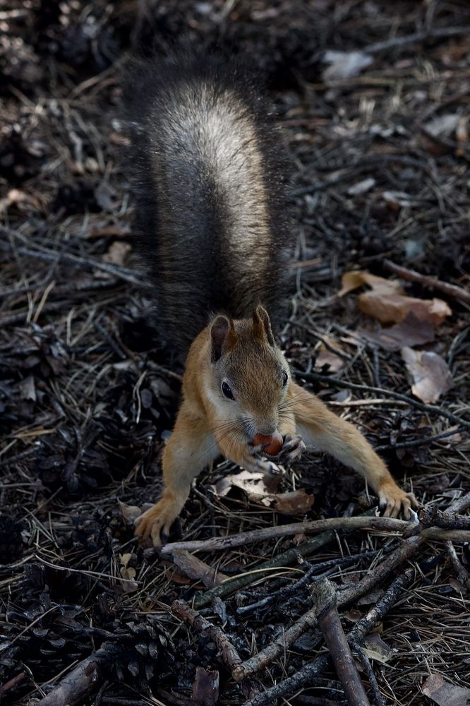 Photograph by Лариса Белашова