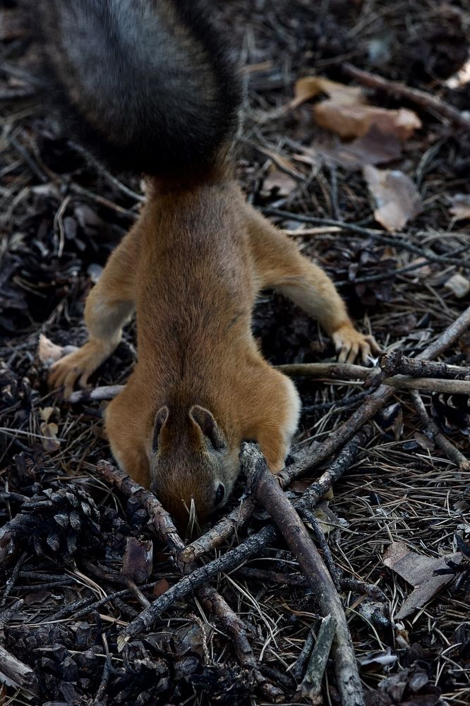Photograph by Лариса Белашова