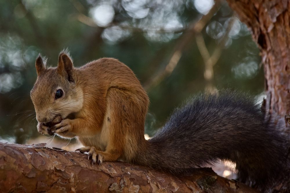 Photograph by Лариса Белашова