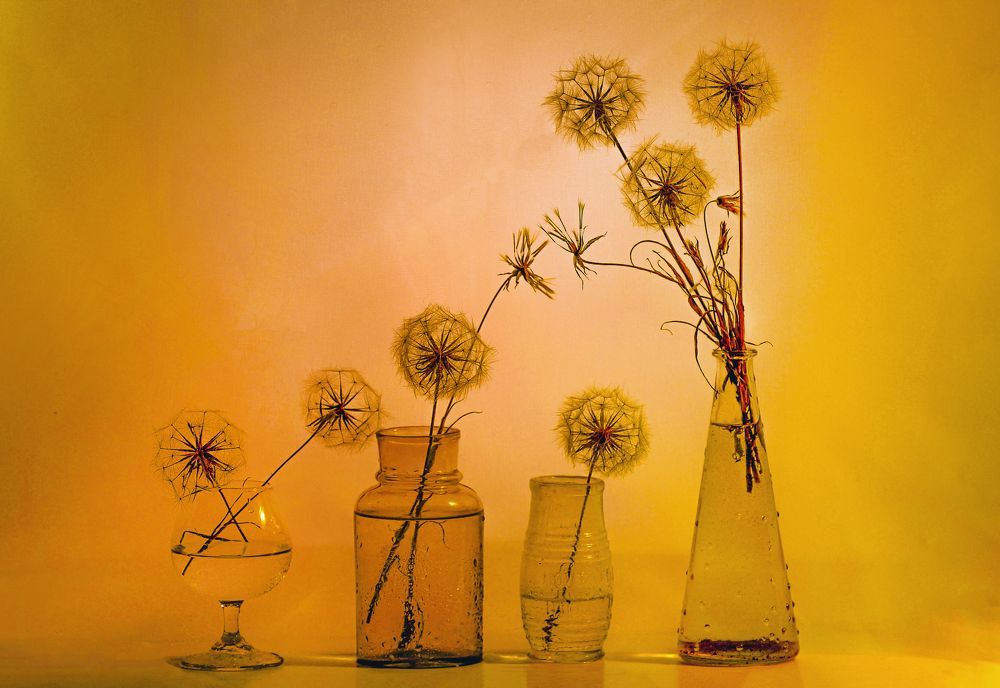 Photograph by Сушкевич Светлана