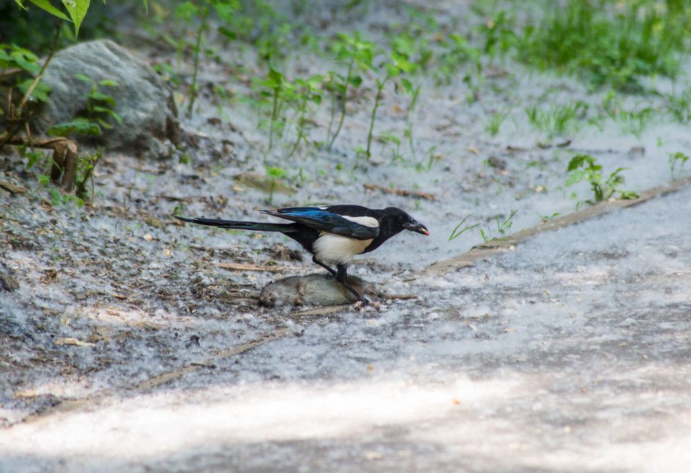 Photograph by Ирина