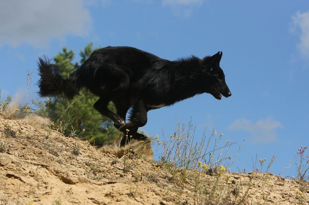 Фотография автора Надежда Лисицына