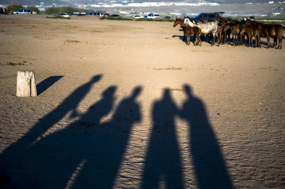 Photograph by DAMOUN POURNEMATI