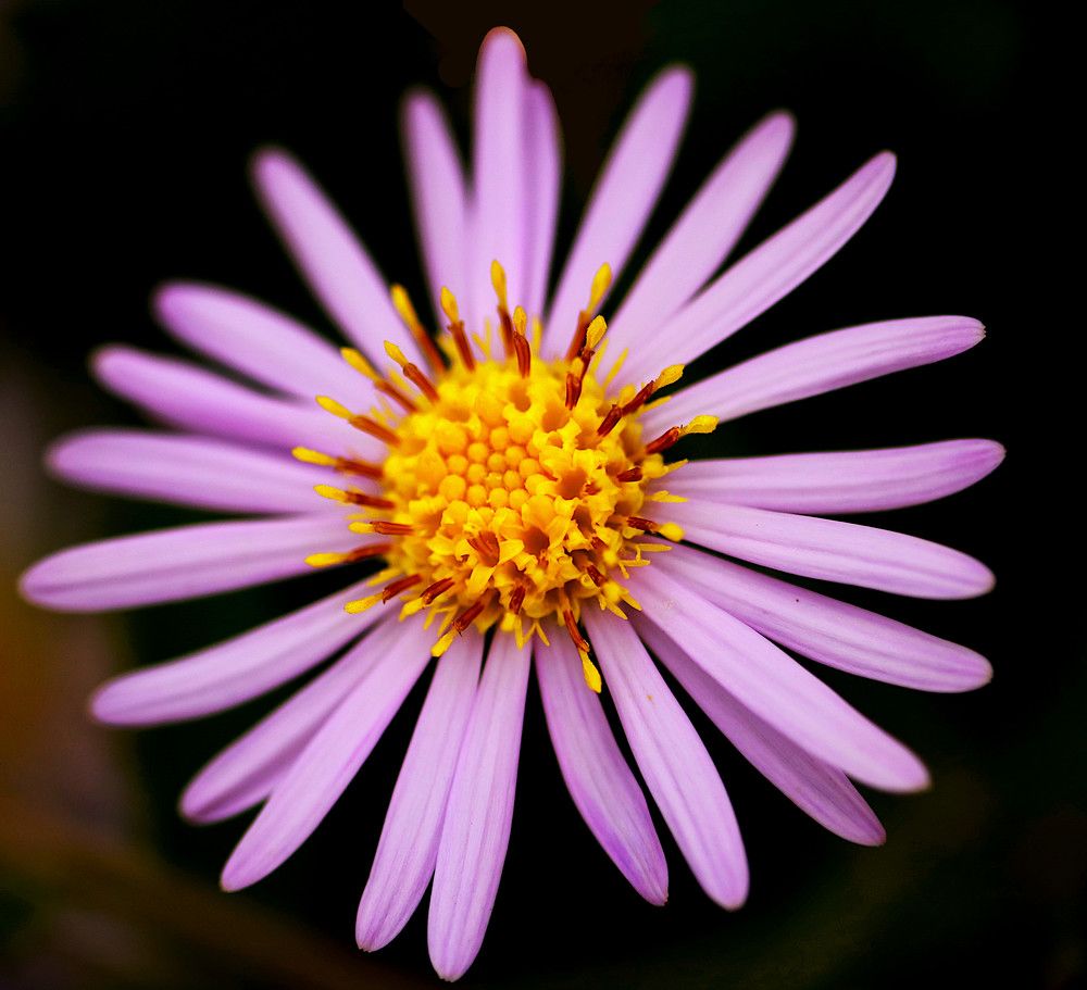 Photograph by Гагик Саркисян