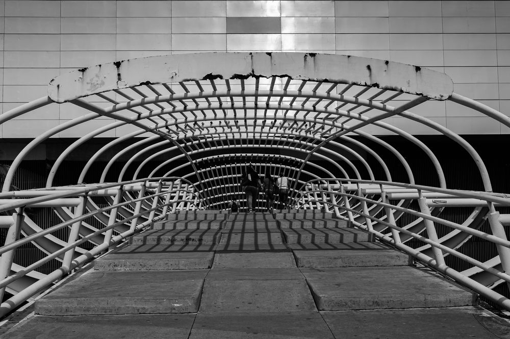 Photograph by Armando López-Guerrero