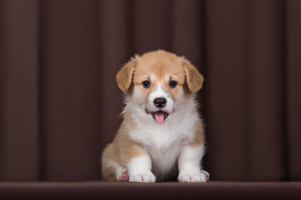 Photograph by Олег Гаричкин