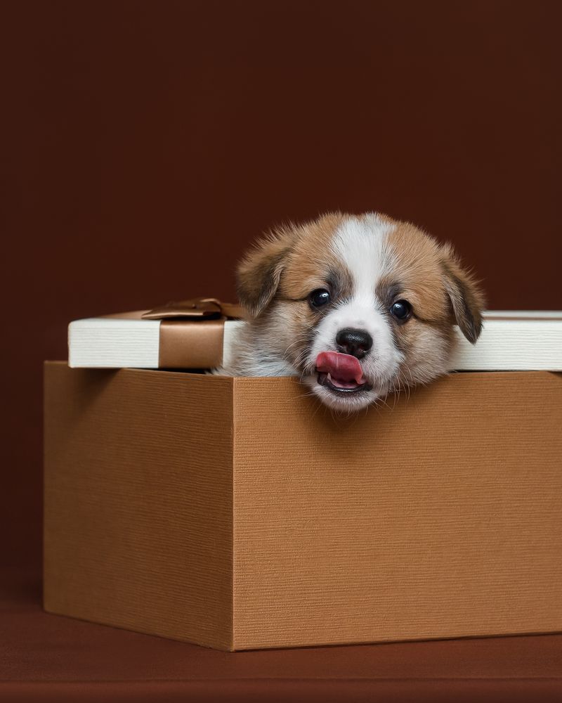 Photograph by Олег Гаричкин