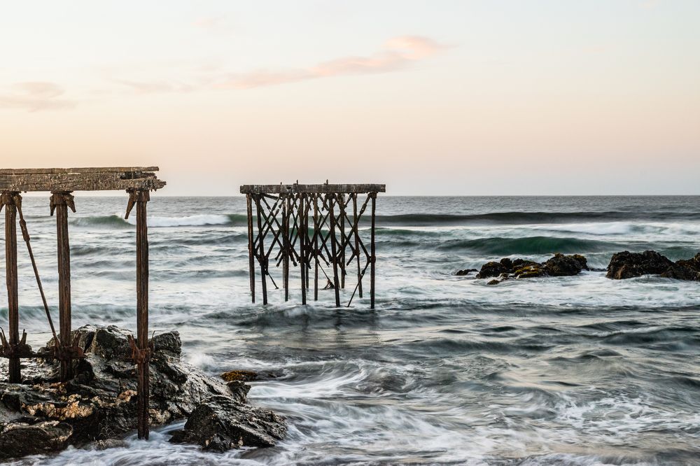 Photograph by Sandra Alvarez