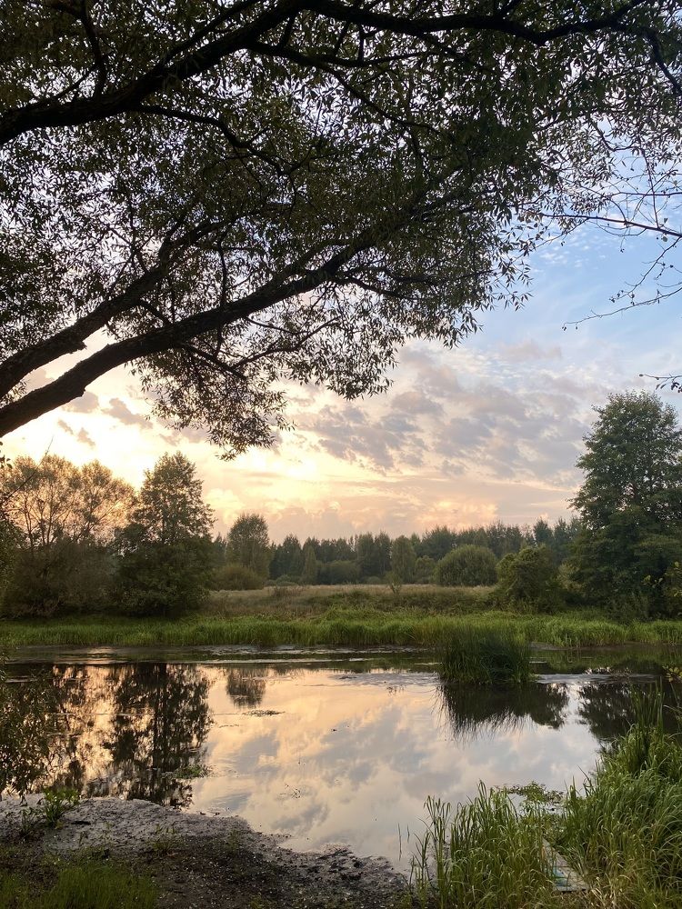 Photograph by Шавловская Марина