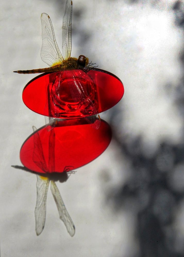 Фотография автора Mahdi Mohammadi