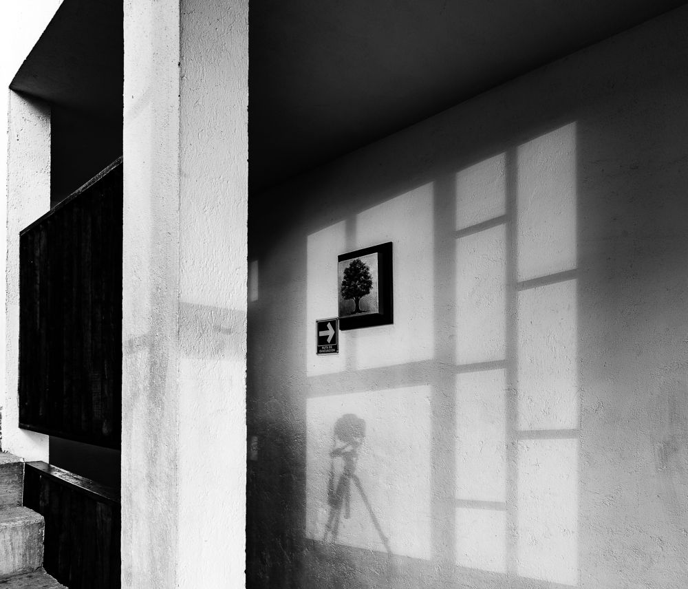 Photograph by Armando López-Guerrero