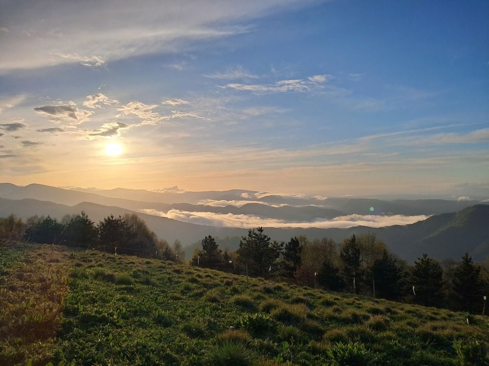 Photograph by Татьяна Котова