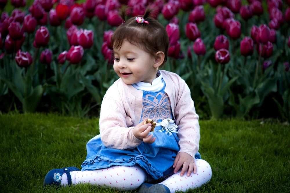 Photograph by DAMOUN POURNEMATI