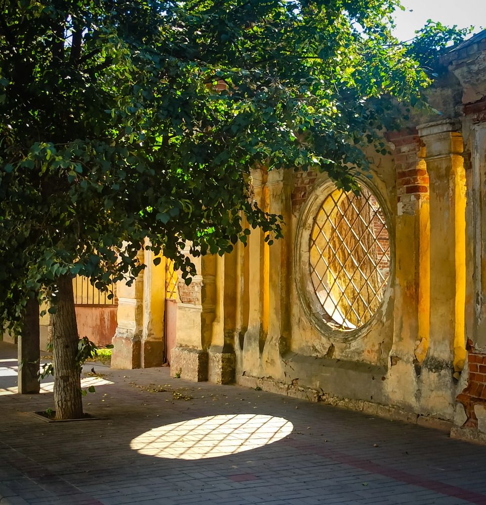 Photograph by Елена Малютина