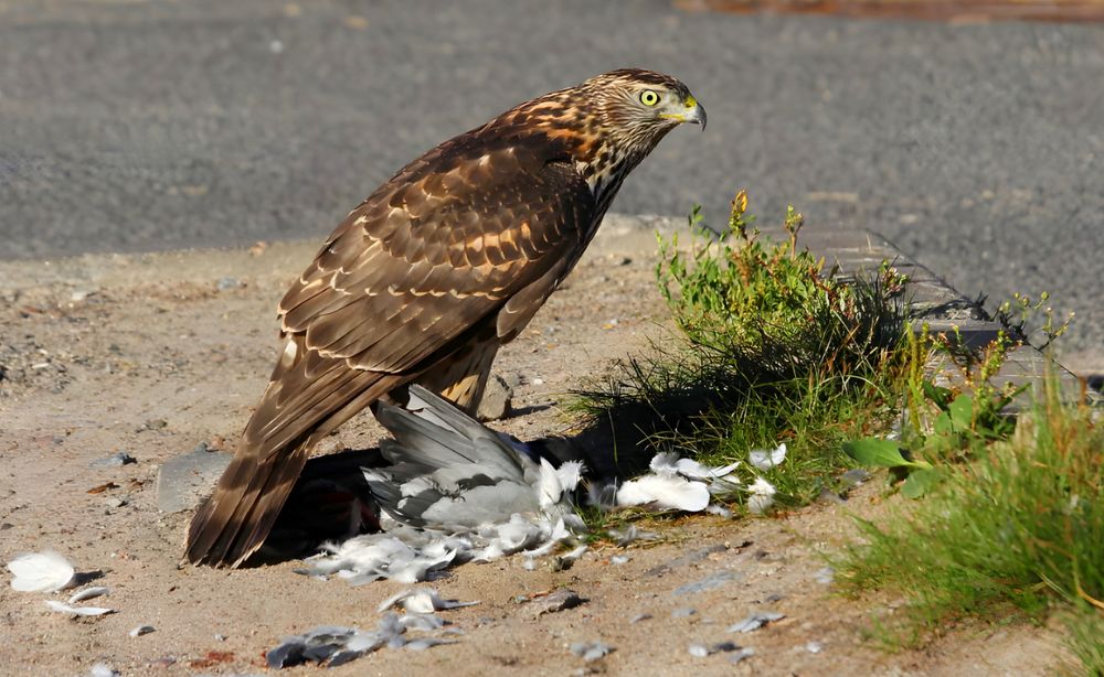 Photograph by Татьяна Слесарева