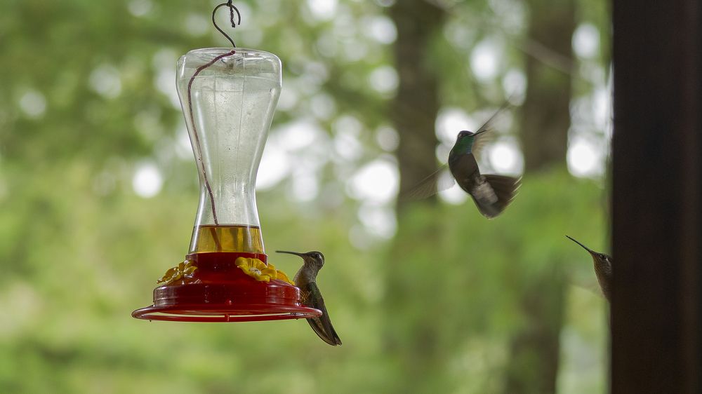 Photograph by Armando López-Guerrero