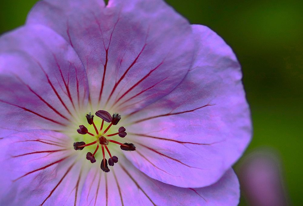 Photograph by Гагик Саркисян