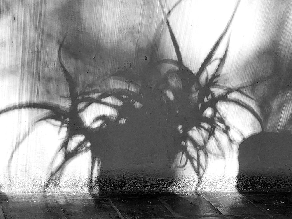 Photograph by Андрей Михайлин