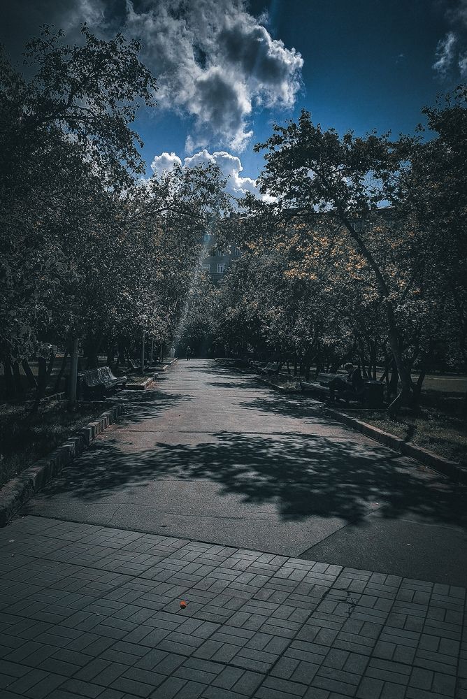 Photograph by Савина Татьяна Александровна