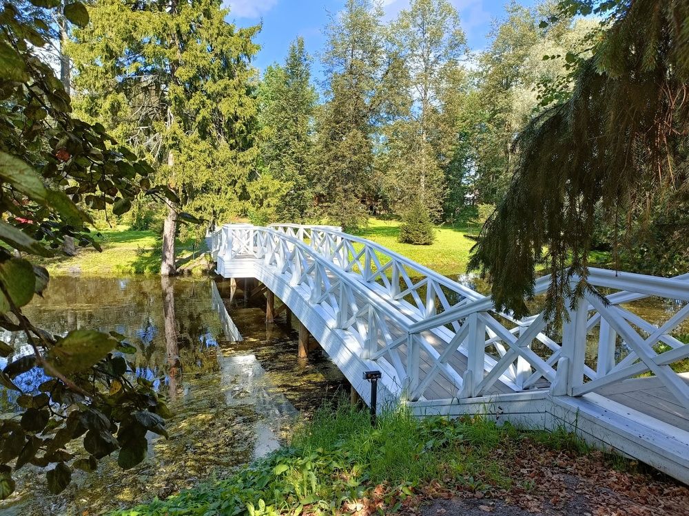 Фотография автора Татьяна Лука