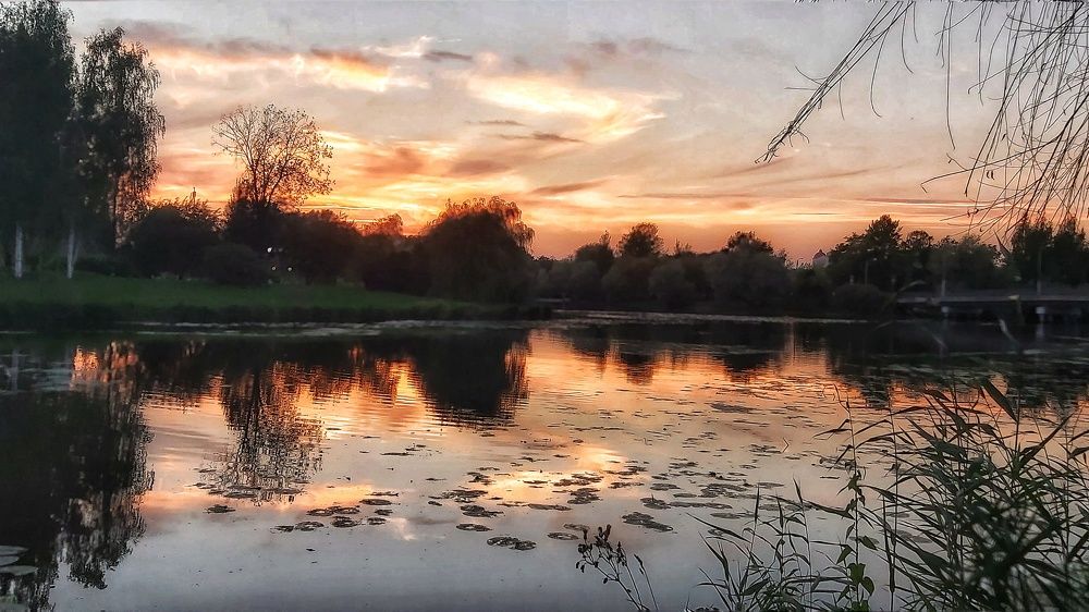 Фотография автора Алёна Михайлова