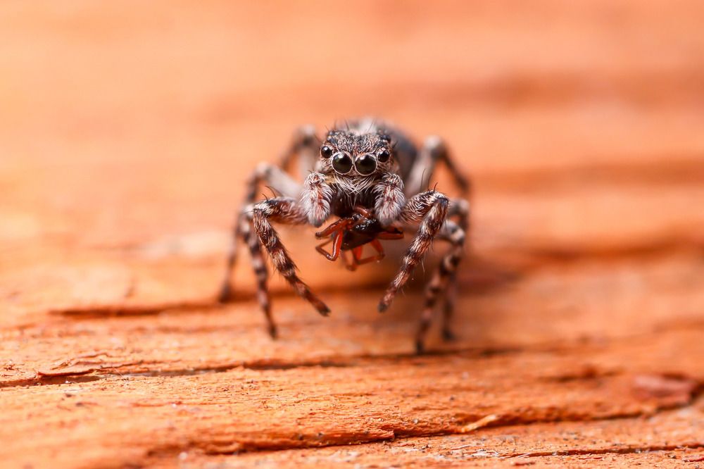 Photograph by Сергей Назаредский