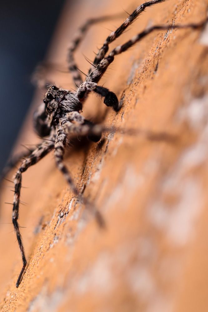 Photograph by Сергей Назаредский