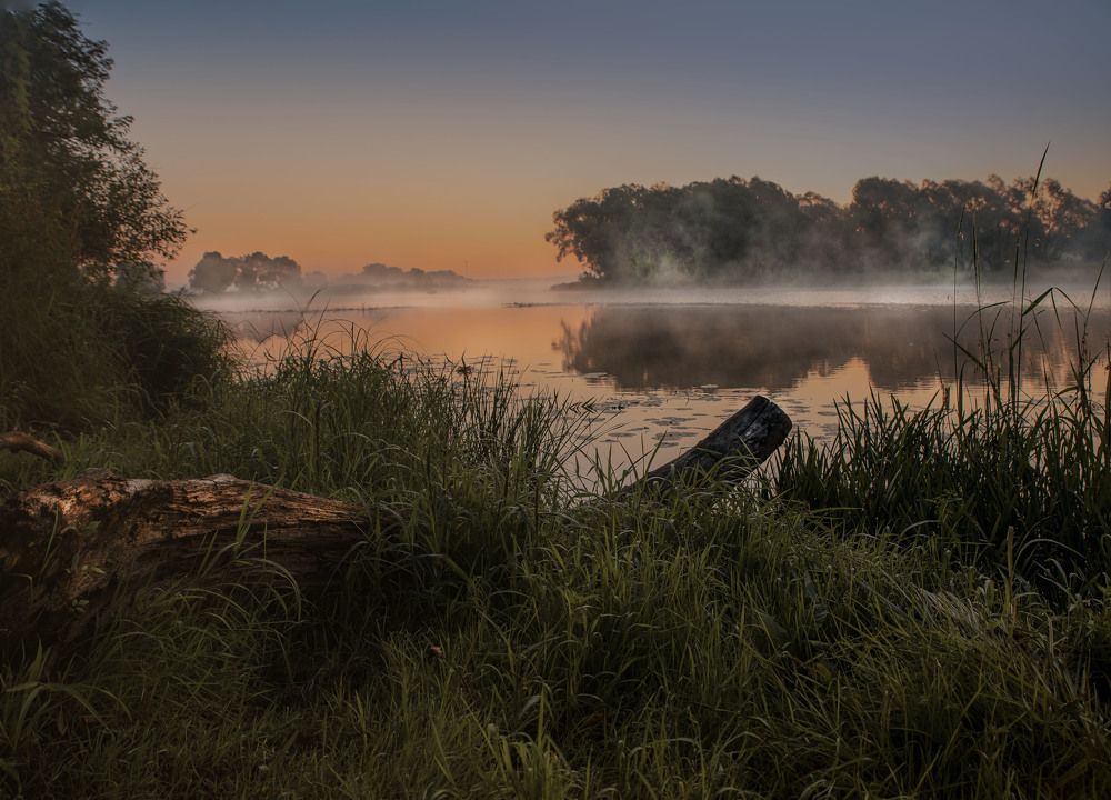Фотография автора Sergey Smorchkov