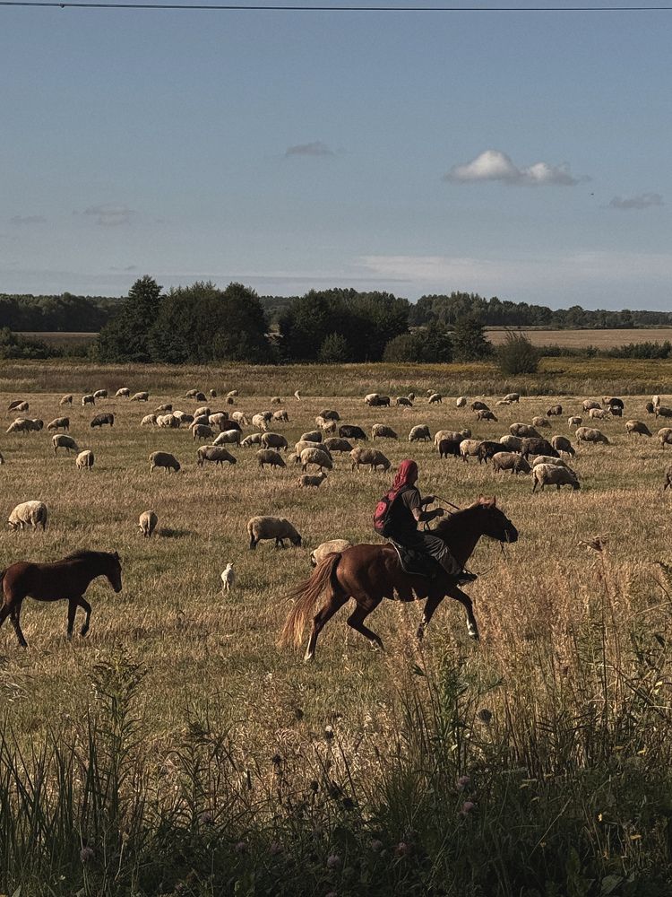 Photograph by Zhanna Kolesnikova