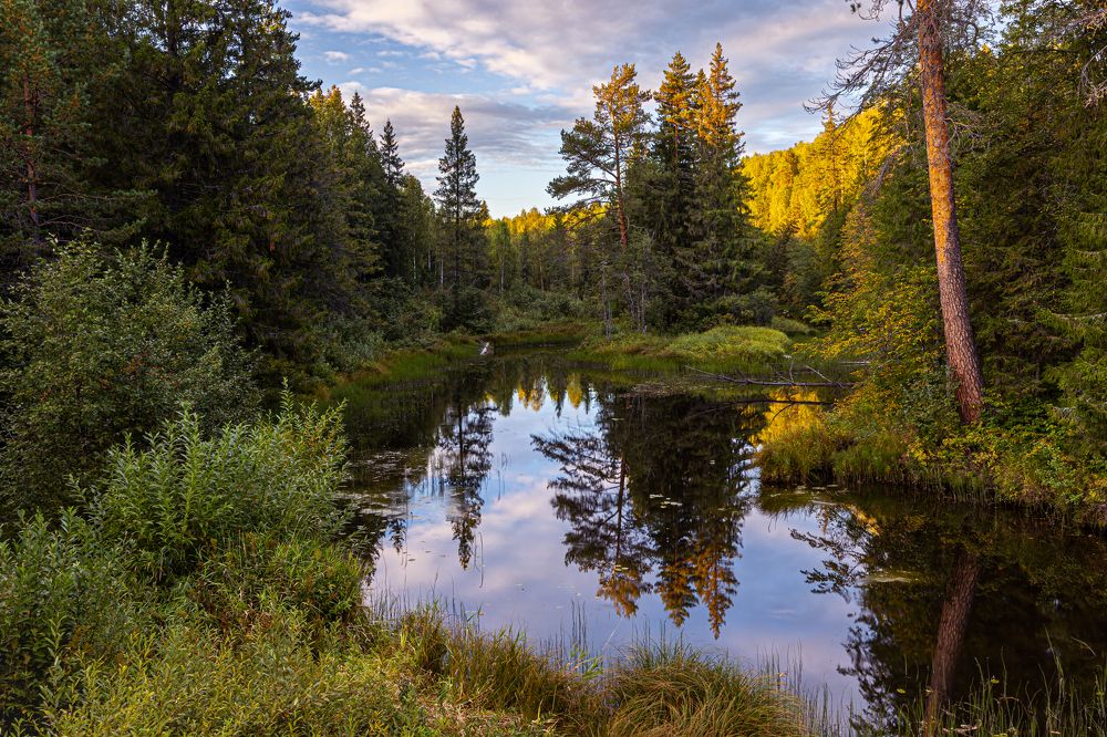 Photograph by Алексей Широбоков