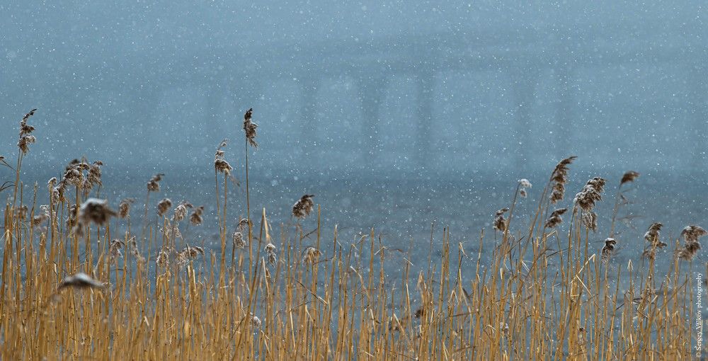 Photograph by Сергей Вальков