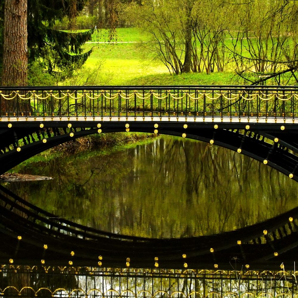 Фотография автора Гоголев Игорь