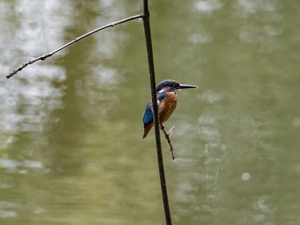 Photograph by Yury Fokin