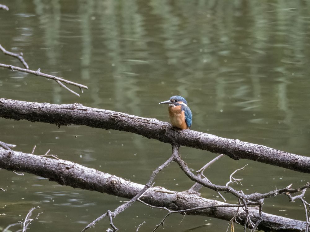 Photograph by Yury Fokin