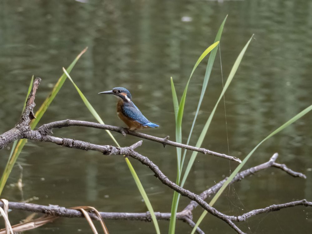 Photograph by Yury Fokin