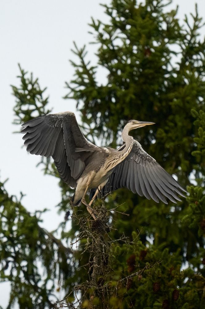 Photograph by Самосудов Рустам