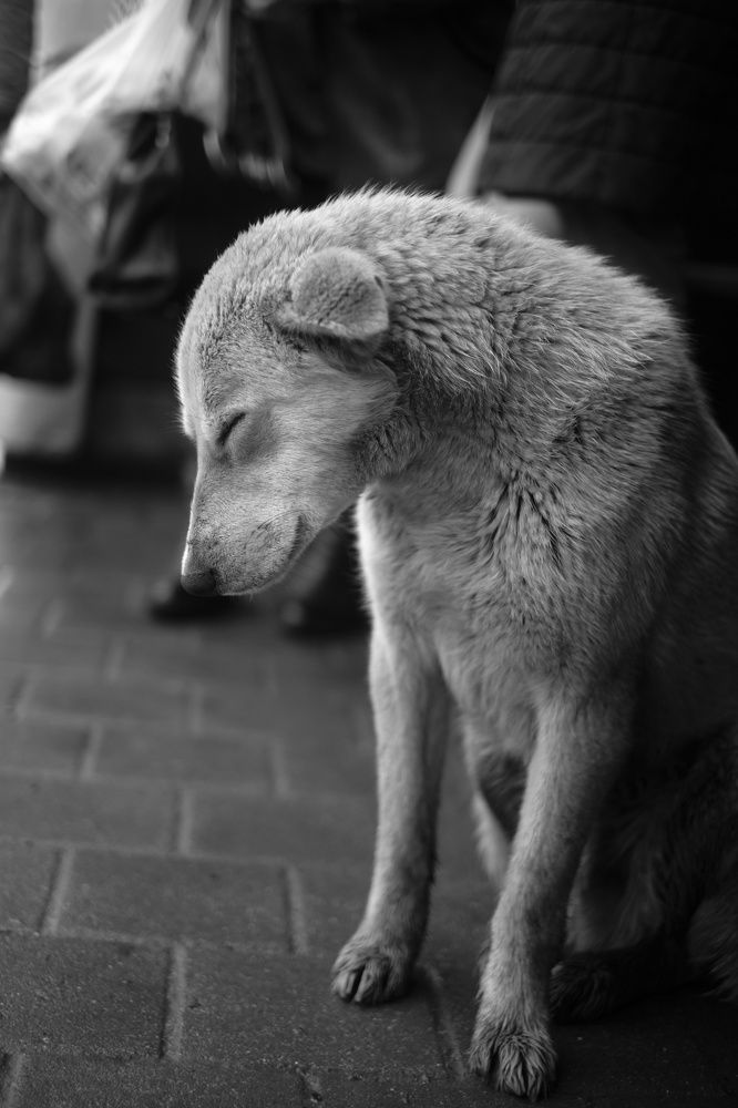 Photograph by Евгений Ласьков