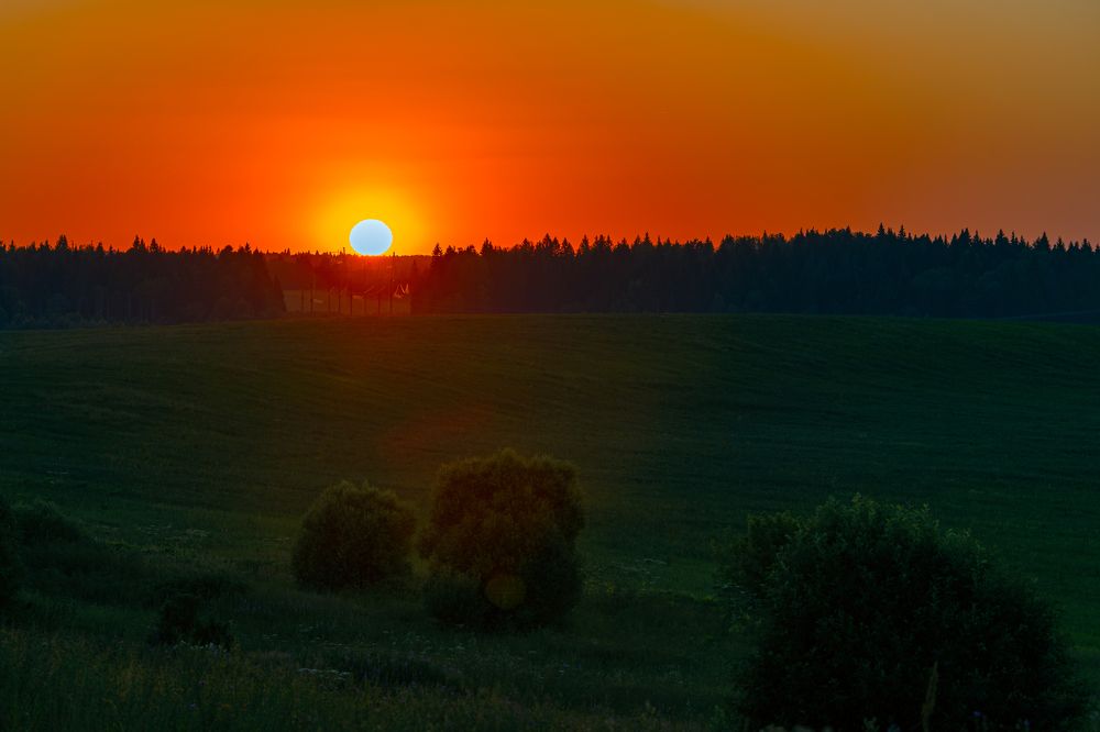 Photograph by 