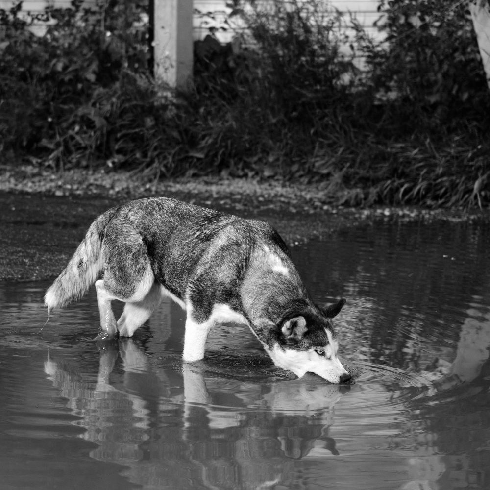 Photograph by Евгений Ласьков
