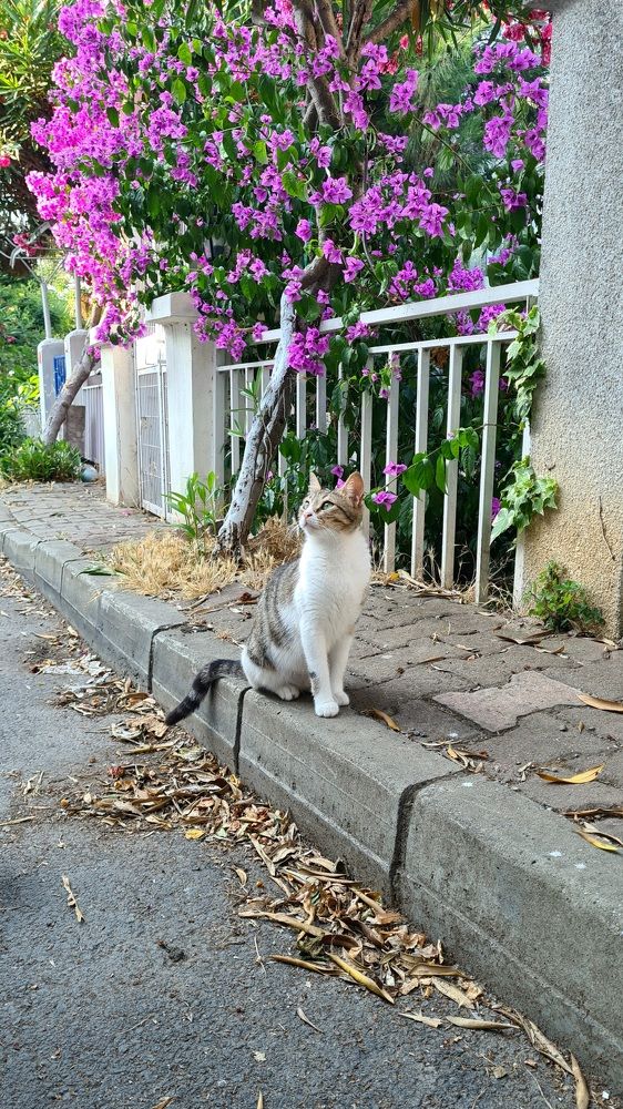 Photograph by Elizaveta Alatyrtseva