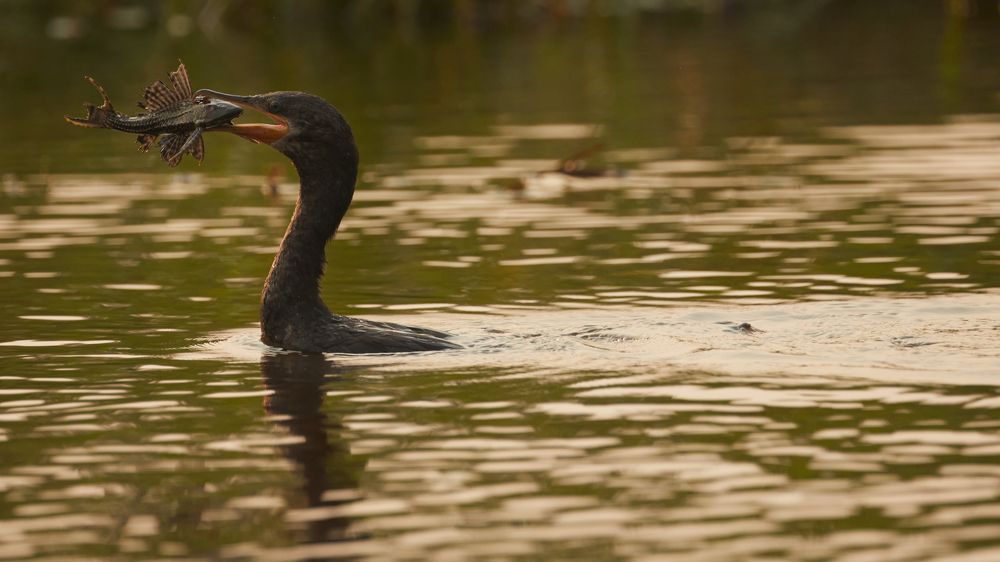 Photograph by Boris Konovalov
