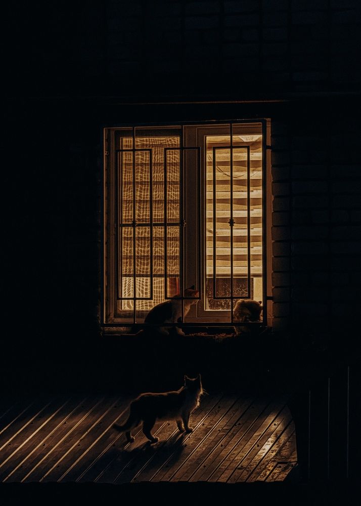 Photograph by Анна Голубцова