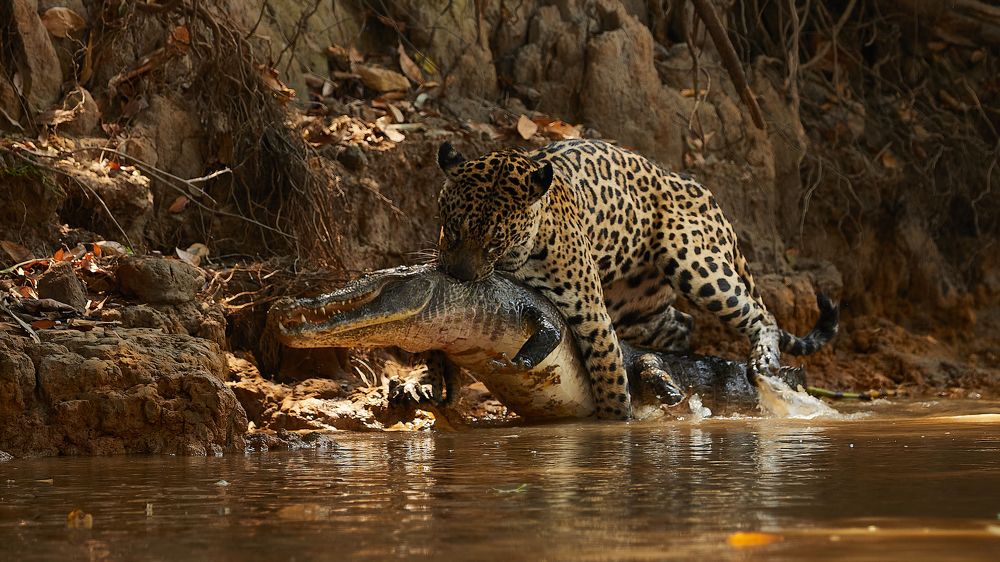 Photograph by Boris Konovalov